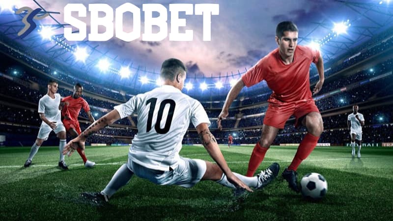 Hướng dẫn anh em cách cá độ sbobet Kubet